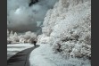 Infrared 720nm Converted Sony A5000 Mirrorless Digital Camera With Infrared R72 Hoya Filter