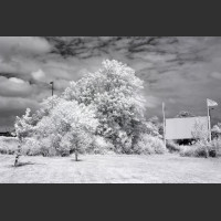 Infrared 850nm Converted Refurbished Canon 1100D (X50, Rebel T3) For Black And White Photography
