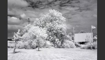 Infrared 850nm Converted Refurbished Canon 1100D (X50, Rebel T3) For Black And White Photography