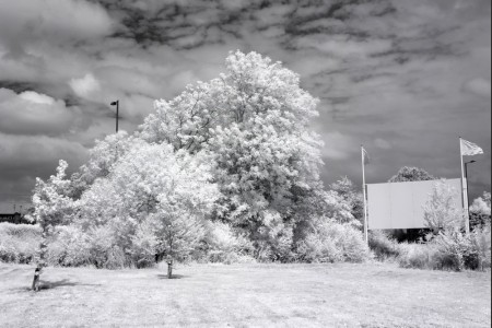 Infrared 850nm Converted Refurbished Canon 1100D (X50, Rebel T3) For Black And White Photography