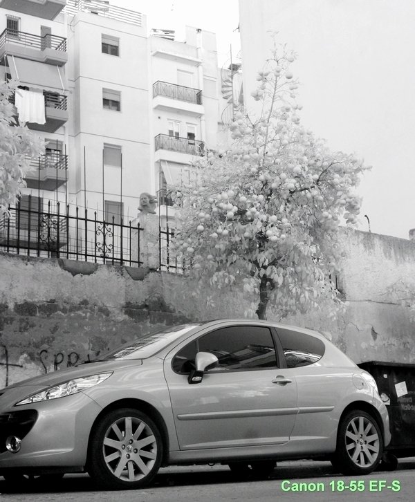 Infrared picture of a modern car. 