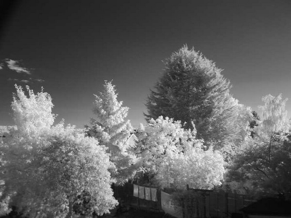infrared 850nm pic